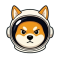 Logo Asteroid Shiba